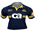 Brumbies